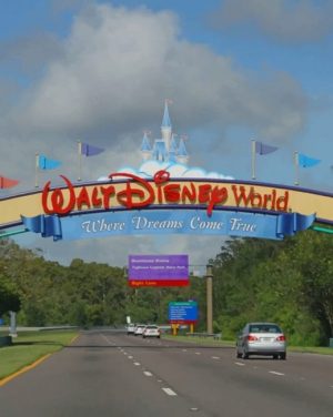Walt Disney World Paint By Numbers