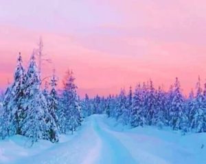 Winter Sunset Scene Paint By Numbers