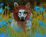 Wolf dog And Flowers paint by numbers