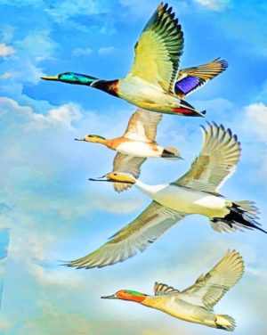 Ducks In Flight Paint By Numbers