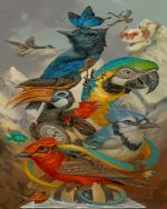 Birds Species Paint By Numbers