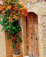 Old Wooden Door Paint By Numbers