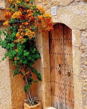 Old Wooden Door Paint By Numbers