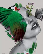 Butterfly Girl Paint By Numbers