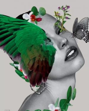 Butterfly Girl Paint By Numbers