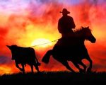 Western Cowboy Silhouette Paint By Numbers
