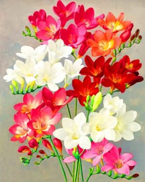 Blooming Flowers Paint By Numbers