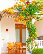 House Garden Paint By Numbers