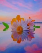 Daisy On Water Paint By Numbers