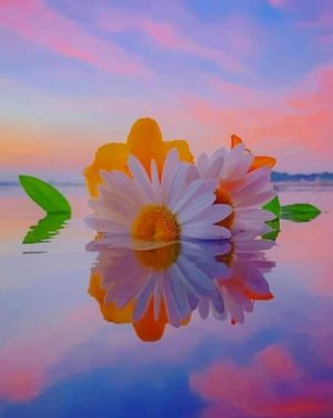 Daisy On Water Paint By Numbers