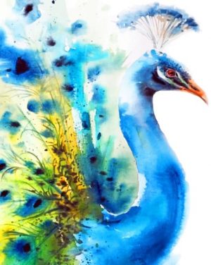 Peacock Bird Paint By Numbers