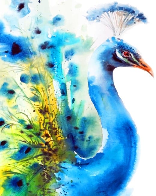 Peacock Bird Paint By Numbers
