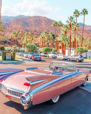 Classic Pink Car Paint By Numbers