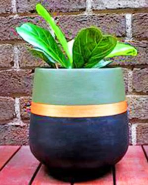 Plant Pot Paint By Numbers