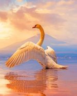 Giant Swan Paint By Numbers