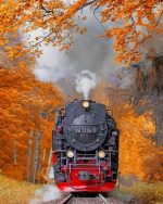 Autumn Train Railway Paint By Numbers