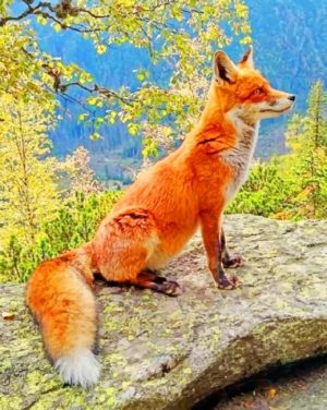 Forest Fox Paint By Numbers