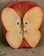 Butterfly Apple Paint By Numbers