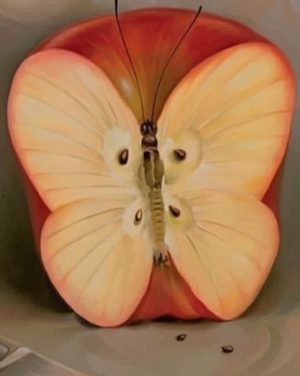 Butterfly Apple Paint By Numbers