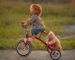 Kid And Bear On Bicycle Paint By Numbers