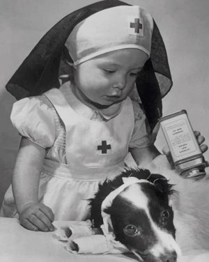 Little Nurse With Dog Paint By Numbers