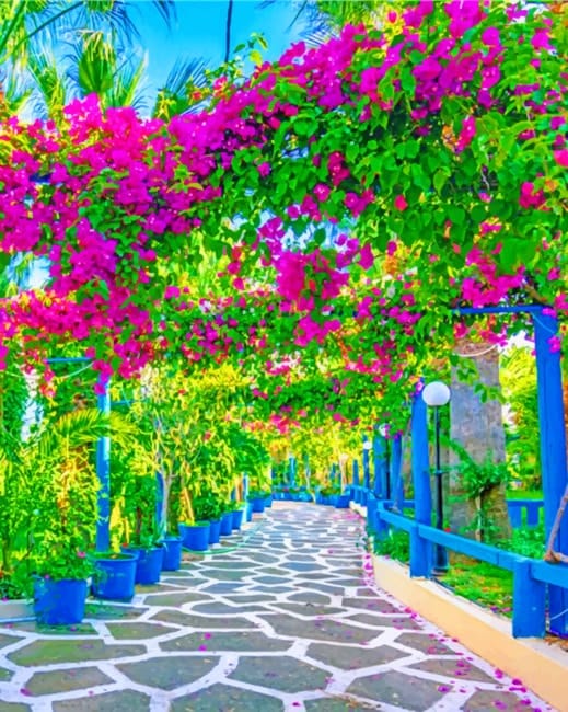 Garden Path Paint By Numbers