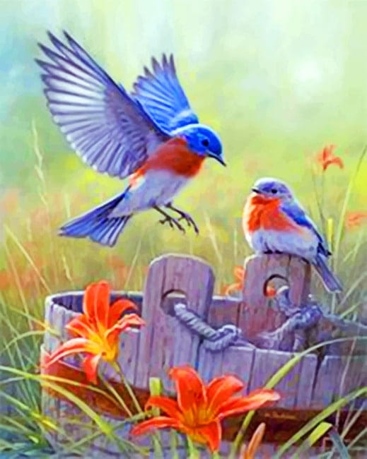 Two Bluebirds