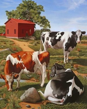 Farm Cows paint by numbers