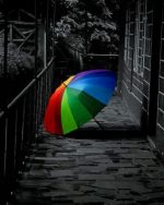 Colorful Umbrella Paint By Numbers
