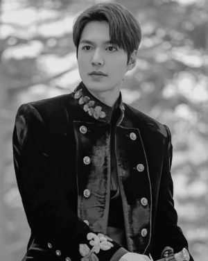 Black And White Lee Min Ho Paint By Numbers