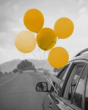 Black And White Yellow Balloons Paint By Numbers