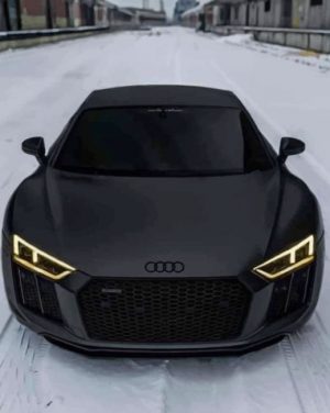 Black Audi R8 Paint By Numbers