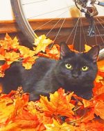 Black Cat In Autumn Paint By Numbers