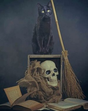 Black Cat And Skull Paint By Numbers