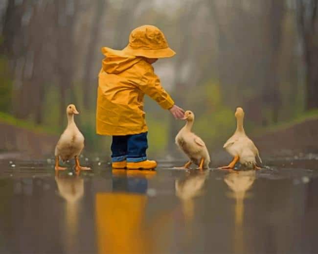 Boy Playing With Ducks Paint By Numbers