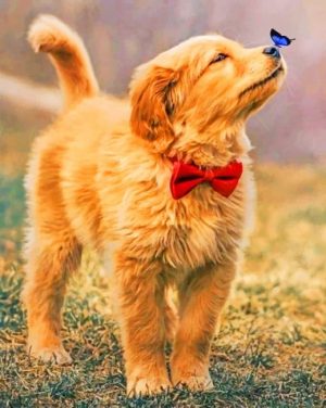 Golden Retriever Puppy Paint By Numbers
