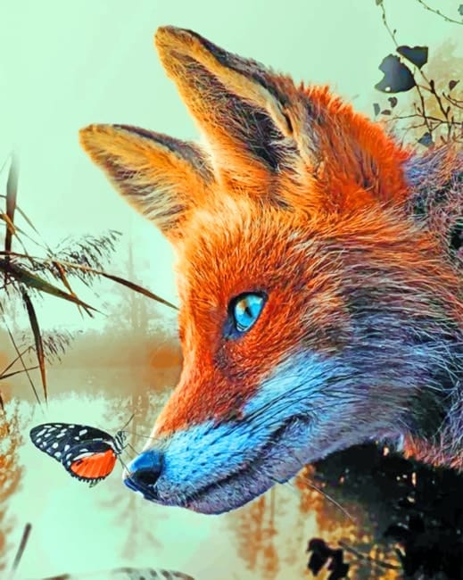 Butterfly And Fox Paint By Numbers