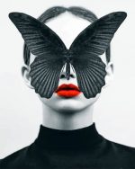 Butterfly Girl Paint By Numbers