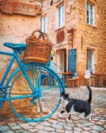 Cat And Blue Bike Paint By Numbers