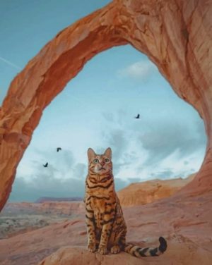 Bengal Cat In Utah Paint By Numbers