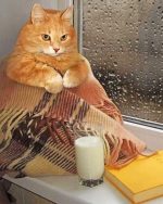 Cozy Cat Paint By Numbers