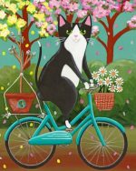 Cat On Bicycle Paint By Numbers