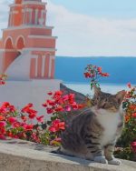 Cat In Greece Paint By Numbers