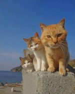 Cute Cats Paint By Numbers