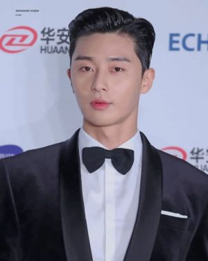 Park Seo Joon Paint By Numbers