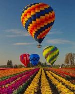 Colorful Air Balloons Paint By Numbers