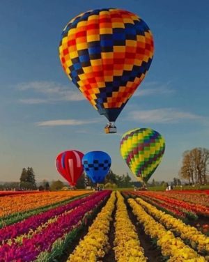 Colorful Air Balloons Paint By Numbers