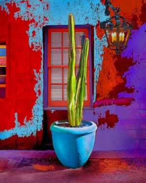 Big Cactus Plant Pot Paint By Numbers
