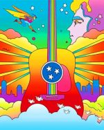 Colorful Illustration Guitar Paint By Numbers