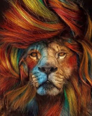 Colorful Lion Paint By Numbers